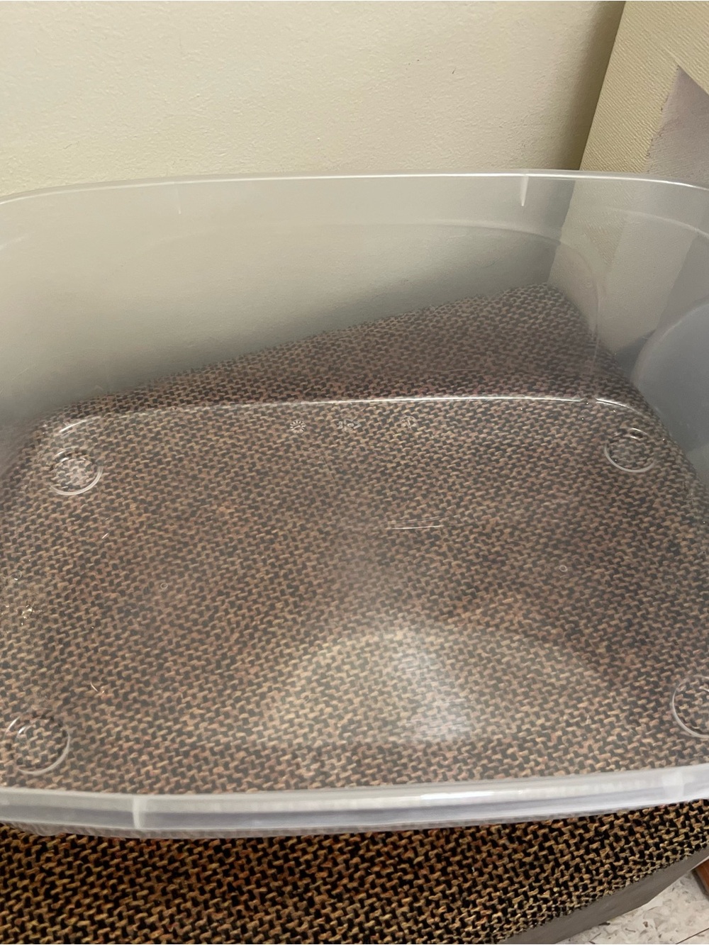 Clear Plastic Storage Bin - Transparent Home Organizer